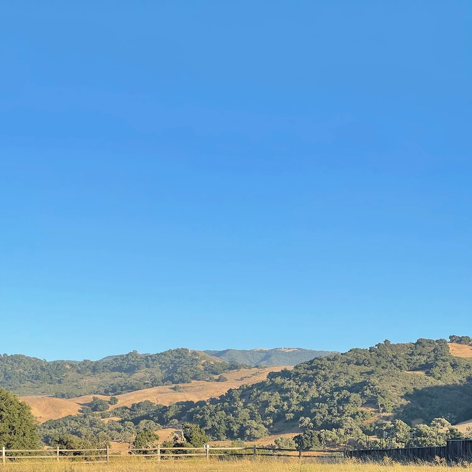 A view of the hills and trees in front of a blue sky.